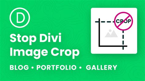 divi crop image